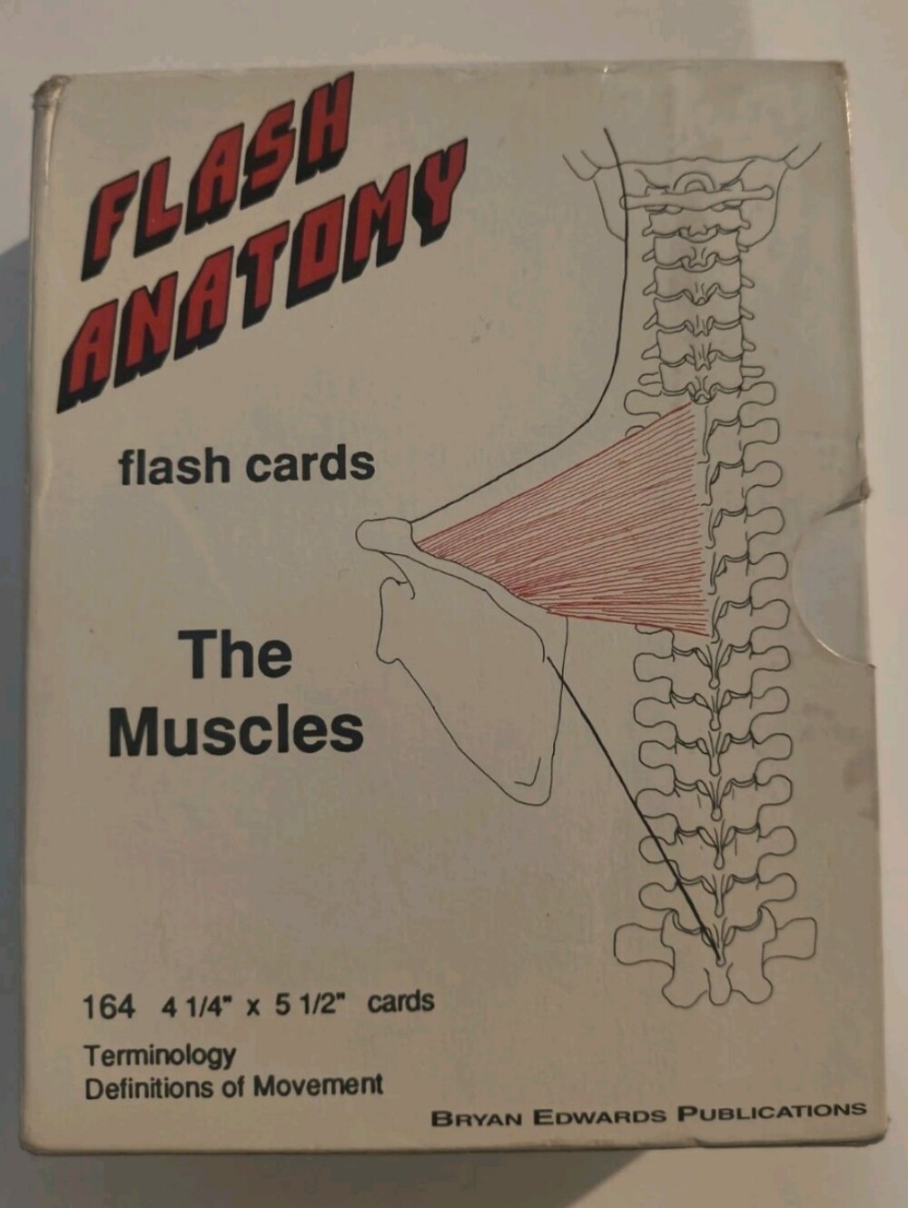 Flash Anatomy / Muscles 164 Flash Cards / Terminology Definitions & Movement